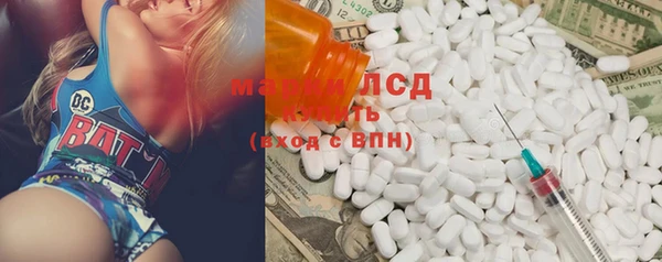 прущие грибы Баксан