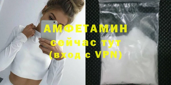 прущие грибы Баксан