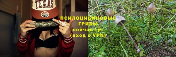 винт Белоозёрский