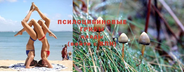 мдпв Балабаново